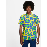 Camisa Nike Brasil Masculina