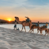 Pacote de Viagem para Genipabu - Natal RN - 6 Dias e 5 Noites