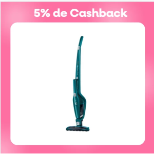 Aspirador De Pó Vertical ERG22 Ergorapido Electrolux Sem Fio 2 Em 1 Bateria de Lítio - Bivolt