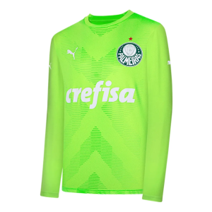 Camisa Puma Palmeiras 2023 Manga Longa Goleiro Away Torcedor Masculino