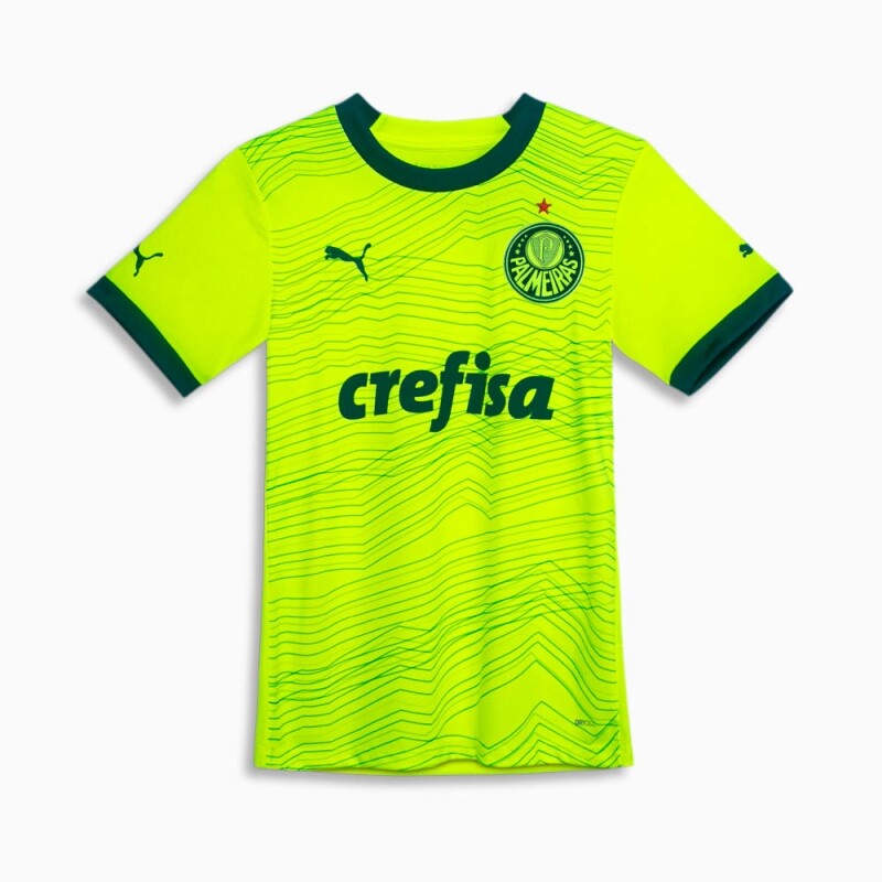 Camisa Palmeiras Torcedor Third Feminina