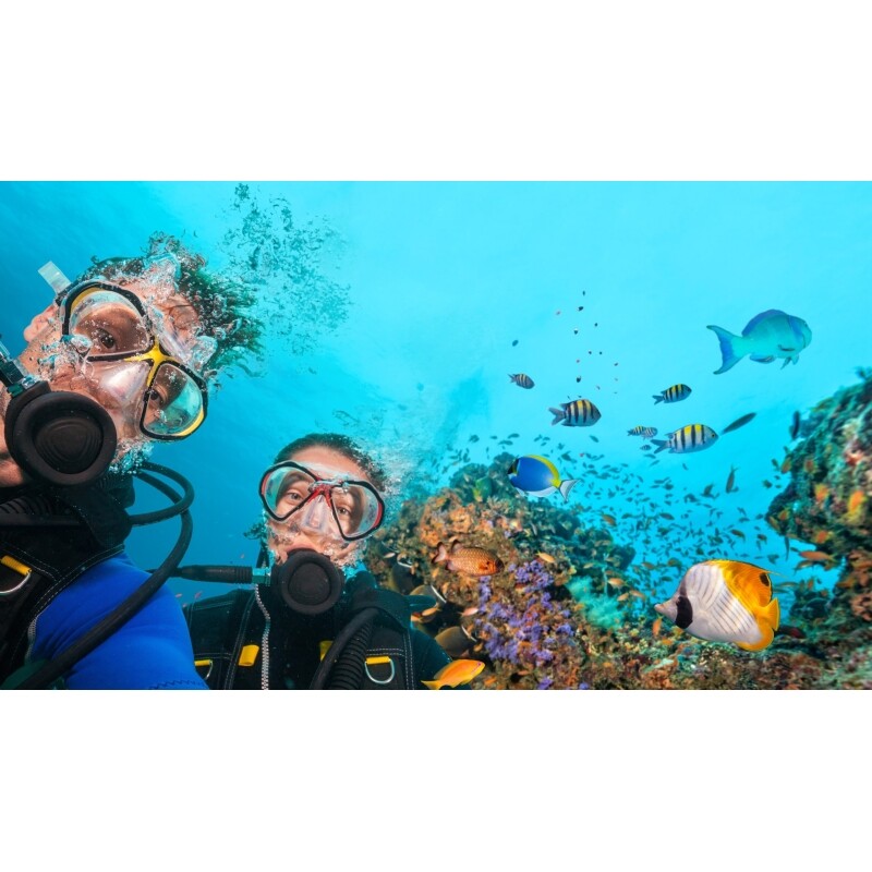 Pacote de Viagem para Maceió + Maragogi + Porto de Galinhas - 7 dias e 6 noites