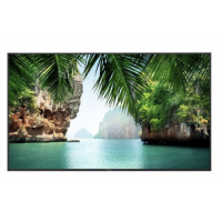 Smart TV LED Panasonic 55" 4K Wifi USB - 55GX500B